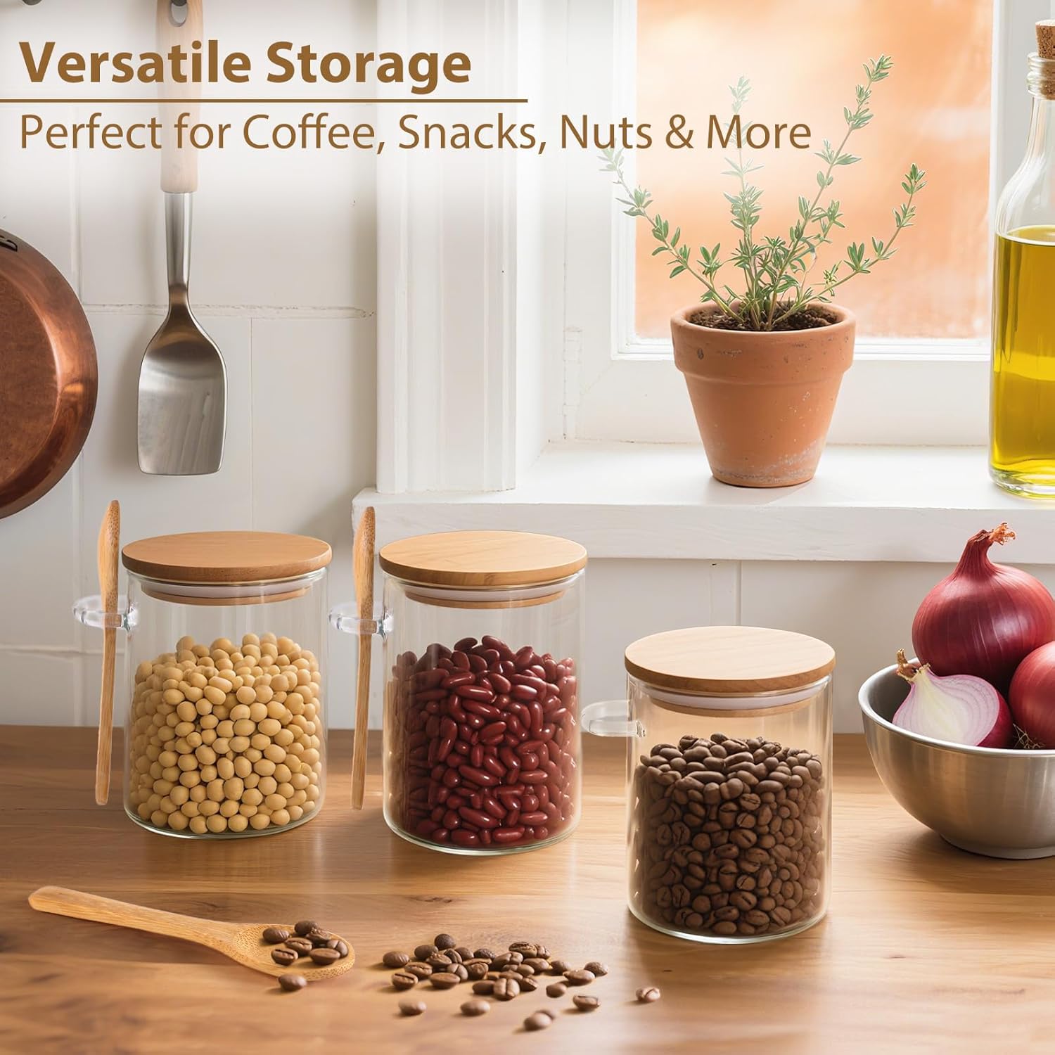 6 Pack Overnight Oats Containe - Meal Prep Glass Containers ulasan dan harga